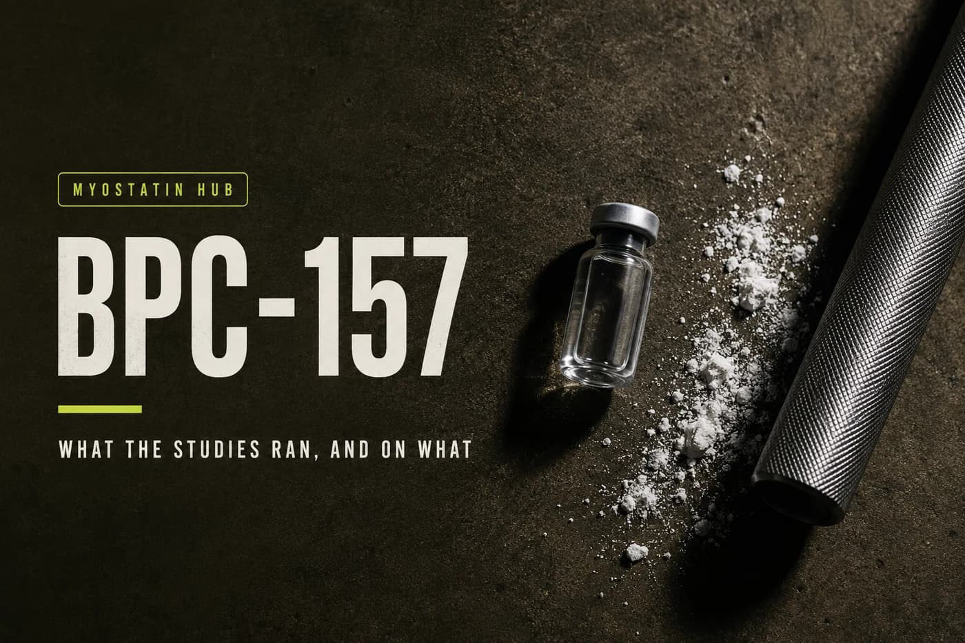 BPC-157 Protocol: What the Studies Ran, and On What article visual
