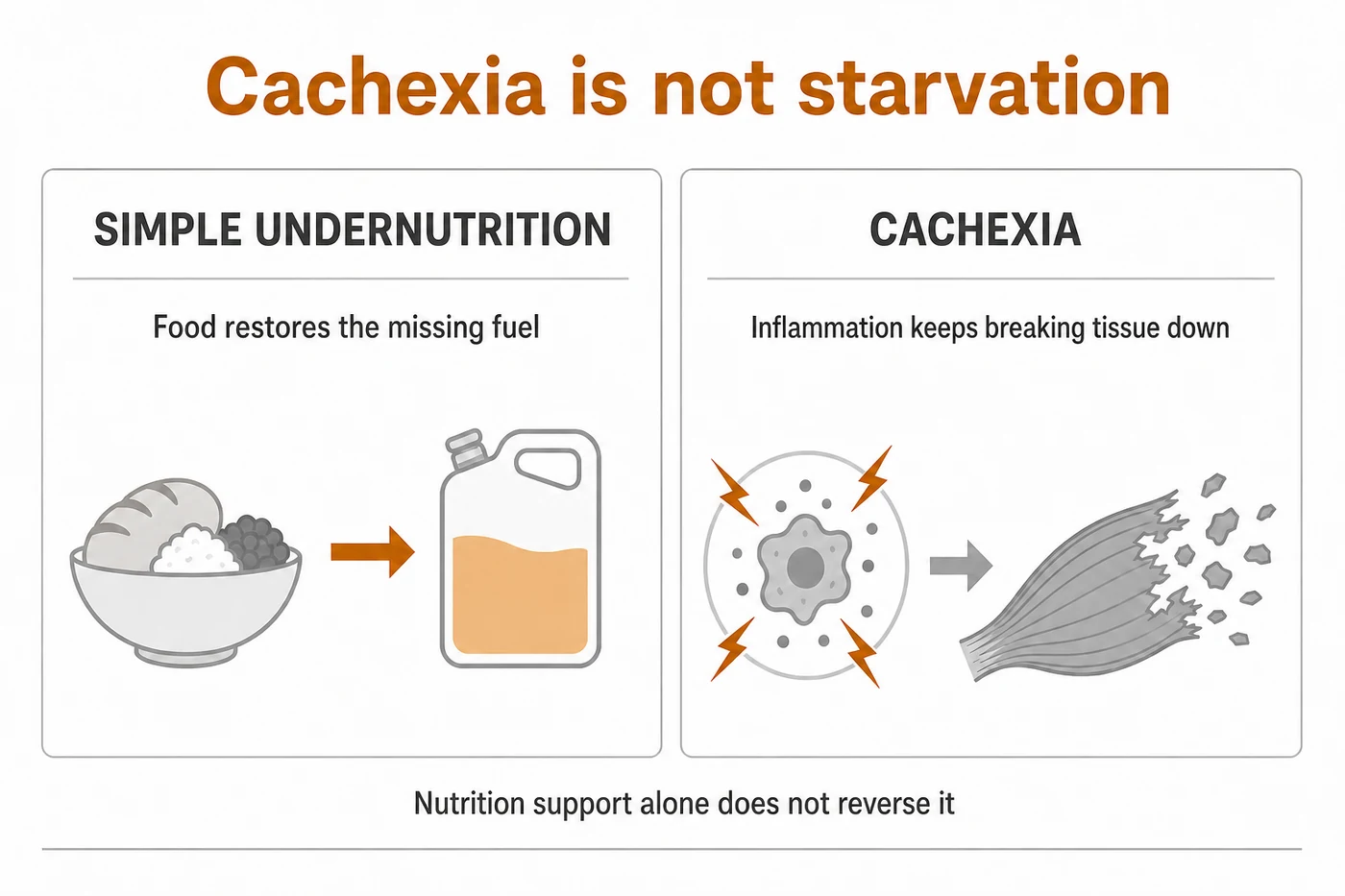 Cachexia: Symptoms, Causes, Diagnosis and Treatment cover