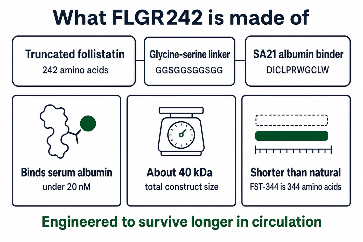 FLGR242 Follistatin Analog: Claims vs Evidence article visual
