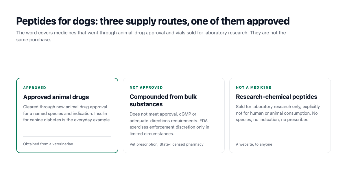 Peptides for Dogs: The Working Dog, the Ageing Dog, and the Evidence article visual