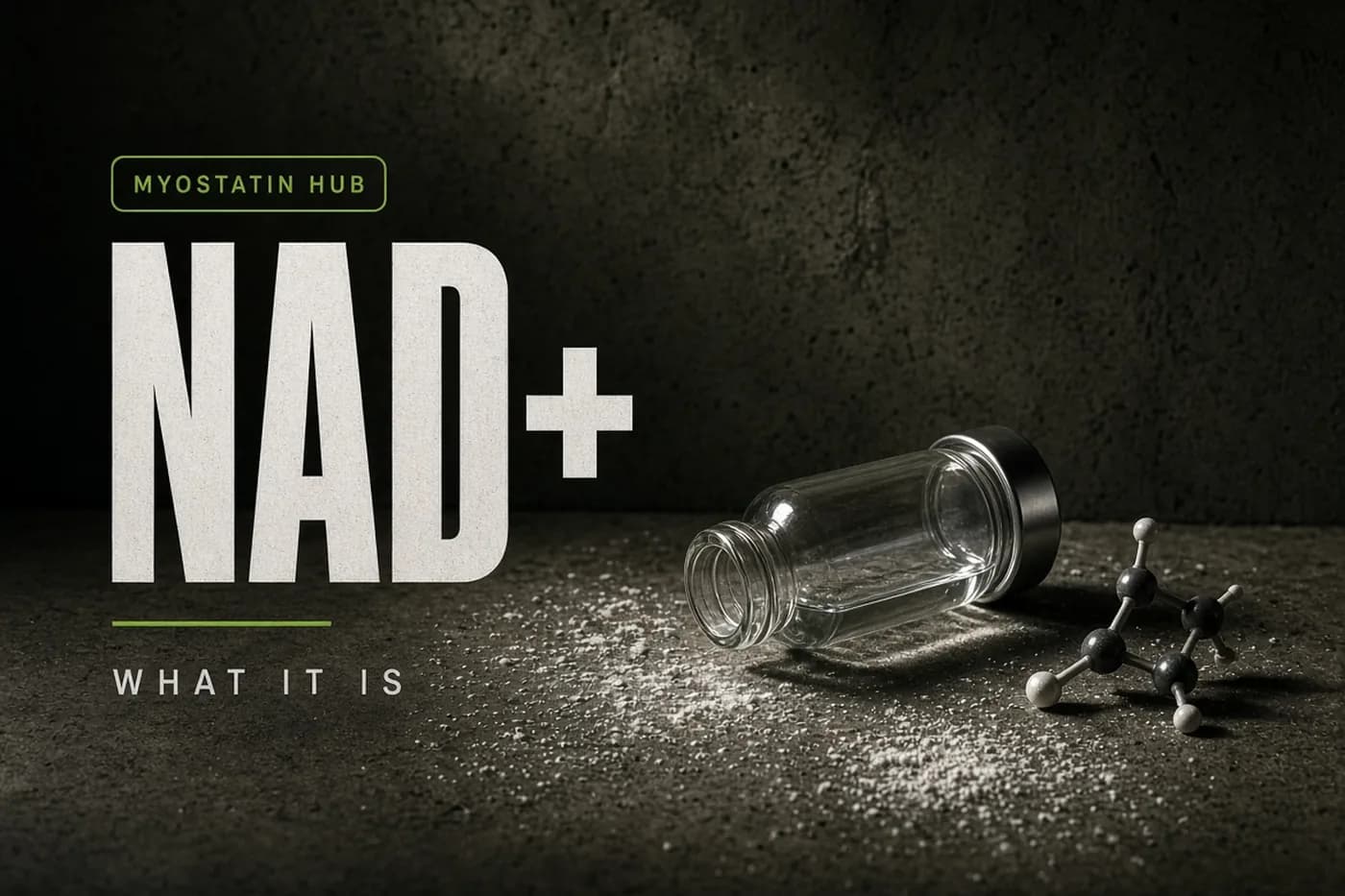 What Is NAD+? What It Is, and What It Is Not cover