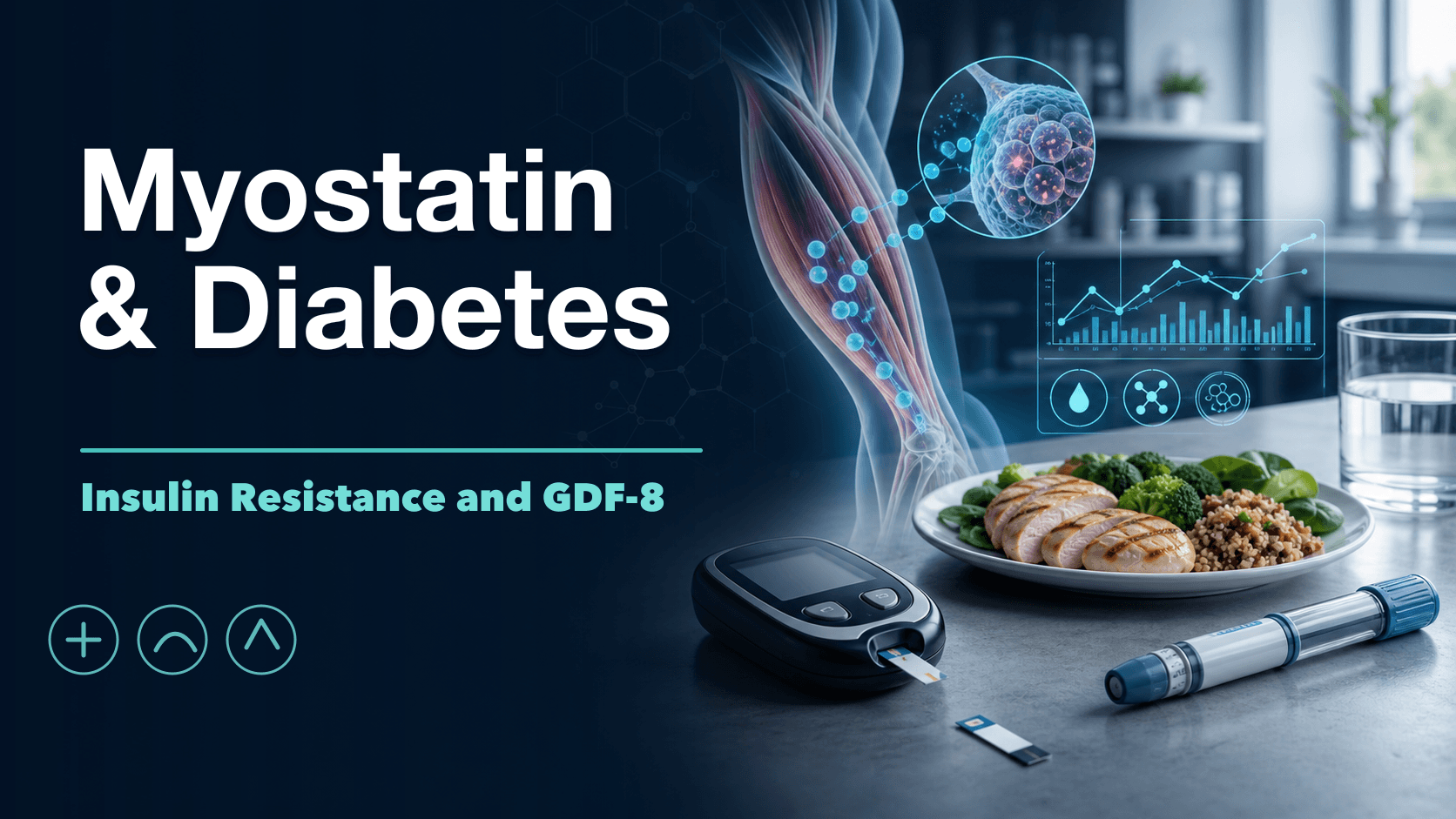 Myostatin, Insulin Resistance, and Type 2 Diabetes cover