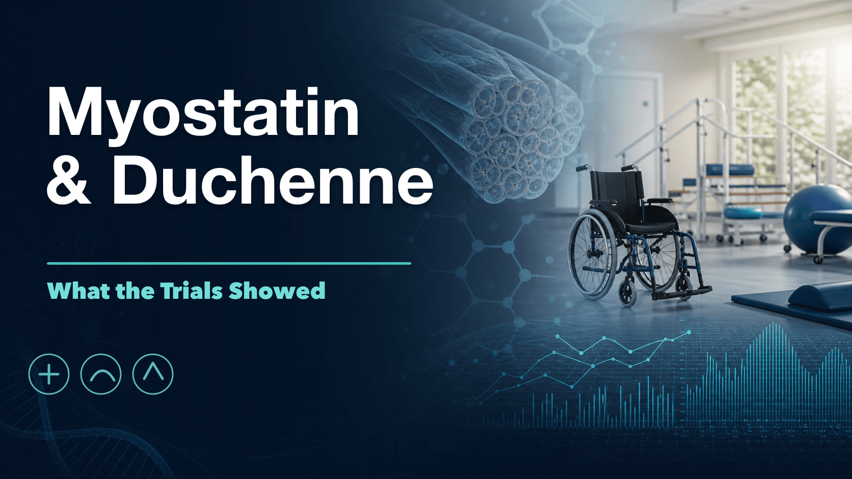 Myostatin and Duchenne Muscular Dystrophy: What the Trials Showed cover