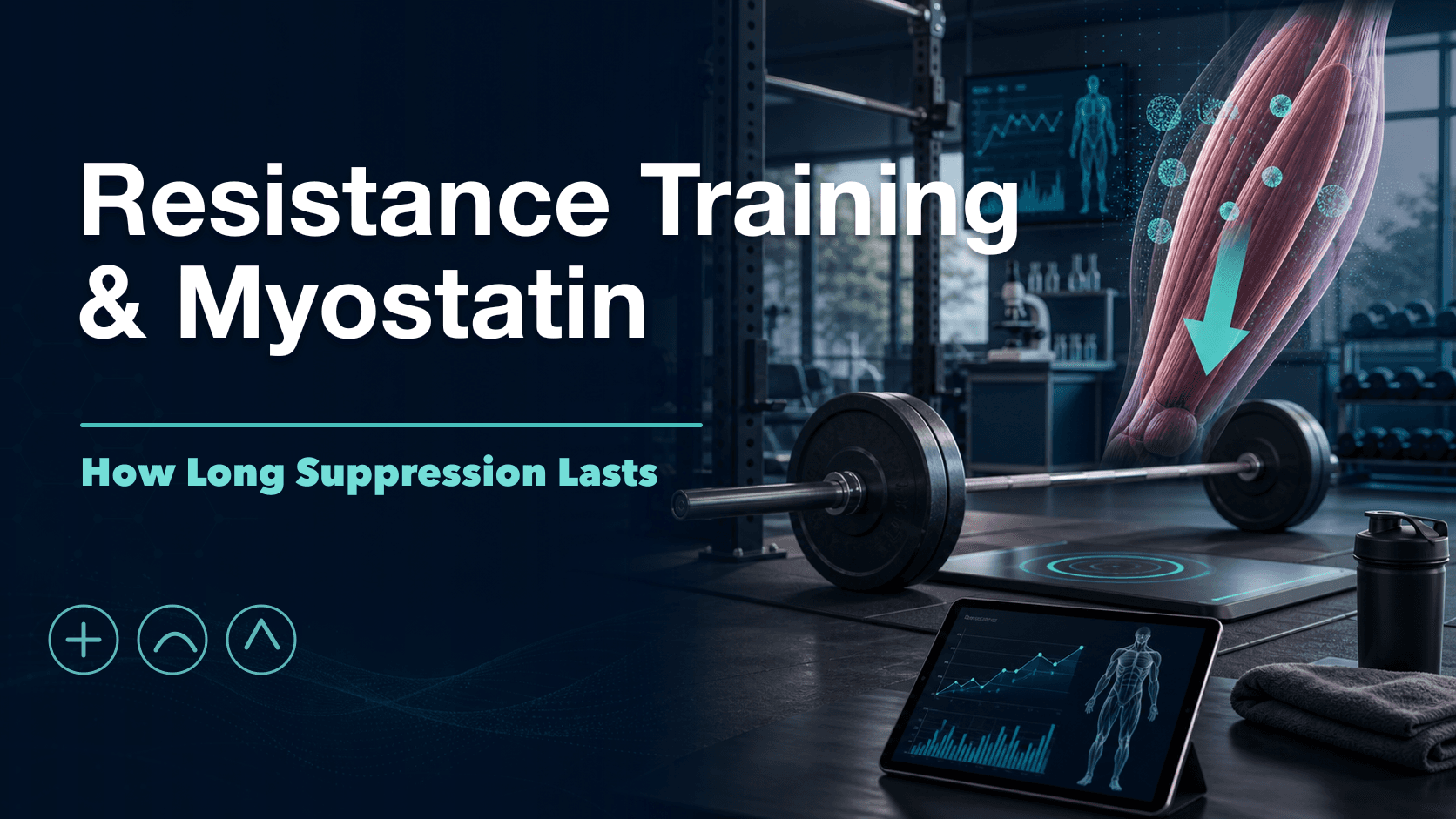 How Resistance Training Suppresses Myostatin (and for How Long) cover