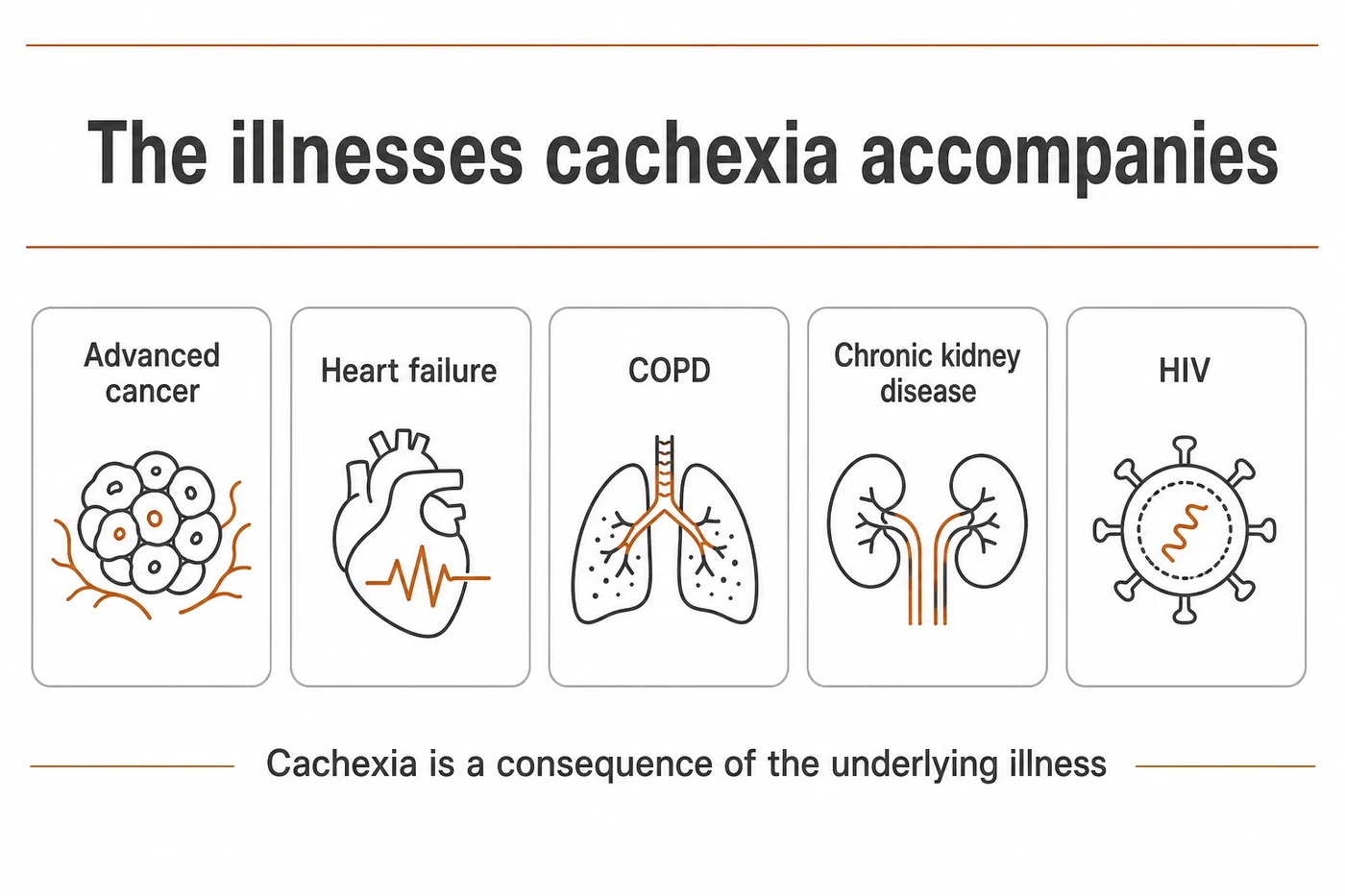 The illnesses cachexia accompanies, including advanced cancer, heart failure, COPD and chronic kidney disease