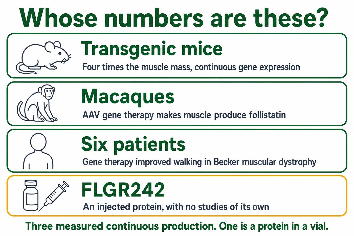 The evidence ladder: transgenic mice, AAV gene therapy in primates and six gene therapy patients all measured continuous follistatin production, while FLGR242 as an injected protein has no studies of its own