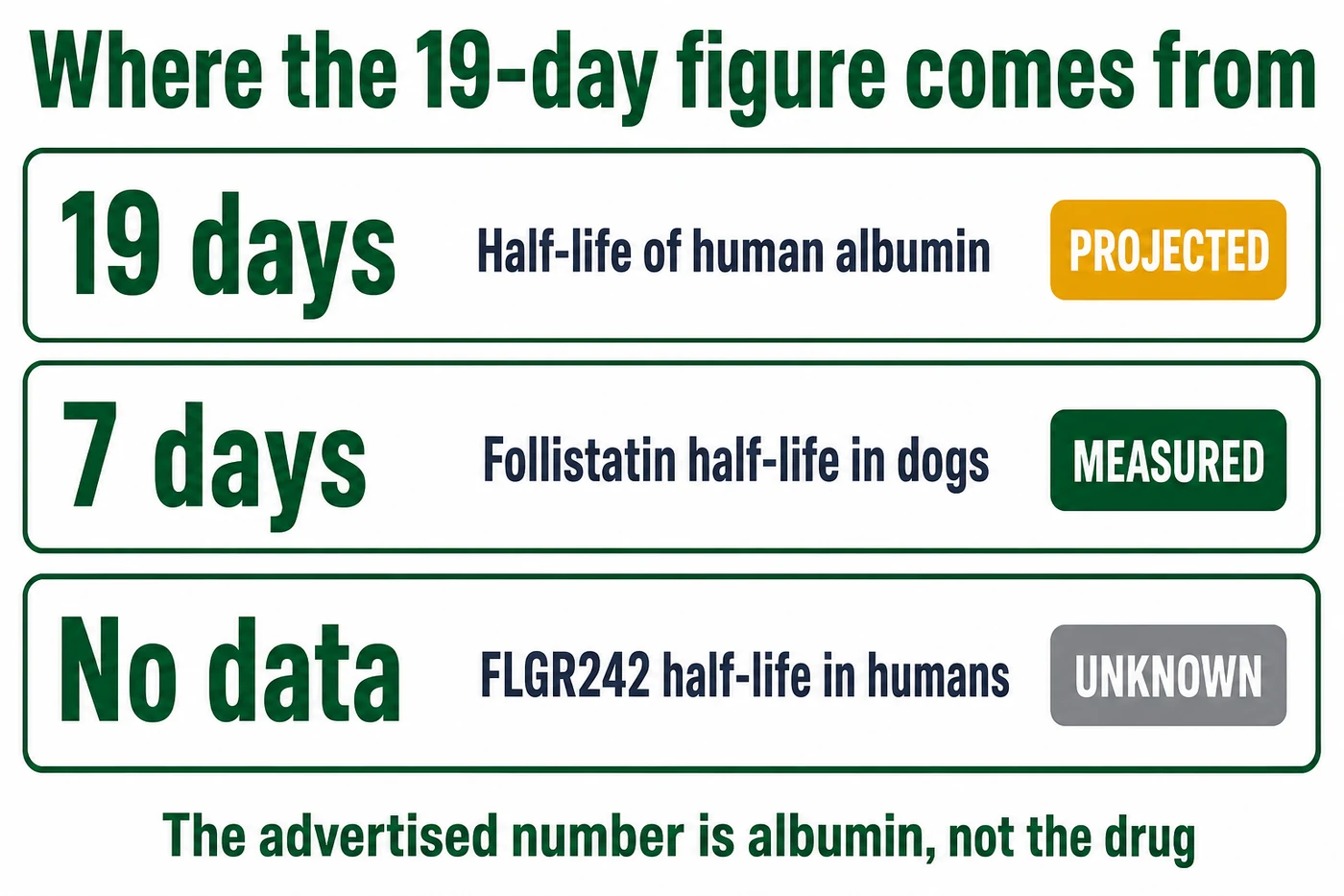 Where the 19-day FLGR242 half-life figure comes from: albumin's own half-life quoted as a projection, a measured 7 days in dogs, and no human half-life data for FLGR242 itself