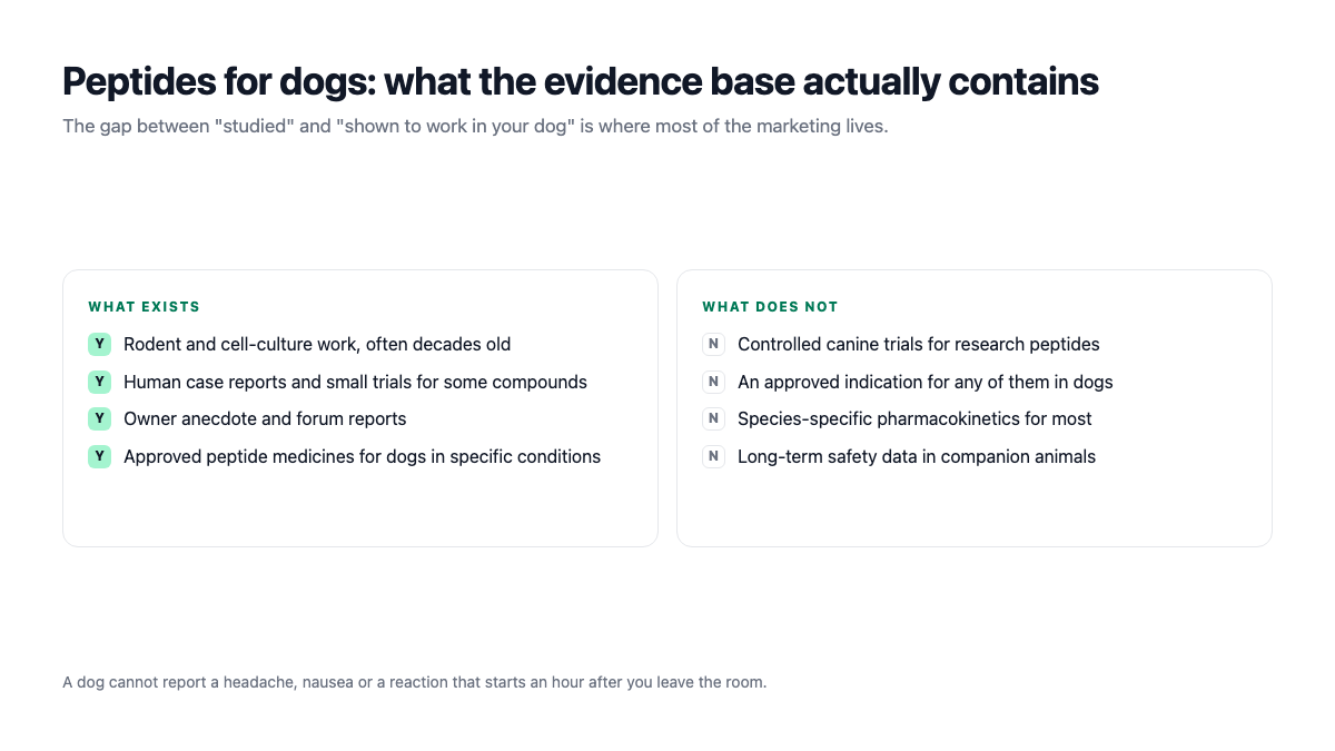 Peptides for dogs: what the evidence base contains and what it does not, including no controlled canine trials
