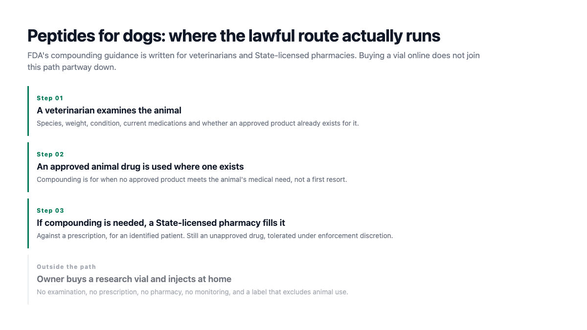 Peptides for dogs: the lawful route from veterinary exam to a State-licensed compounding pharmacy
