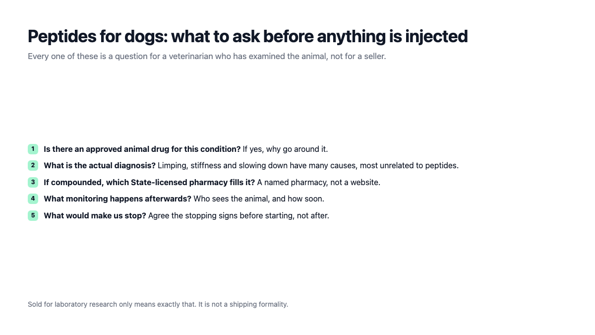 Peptides for dogs: five questions to ask a veterinarian before anything is injected