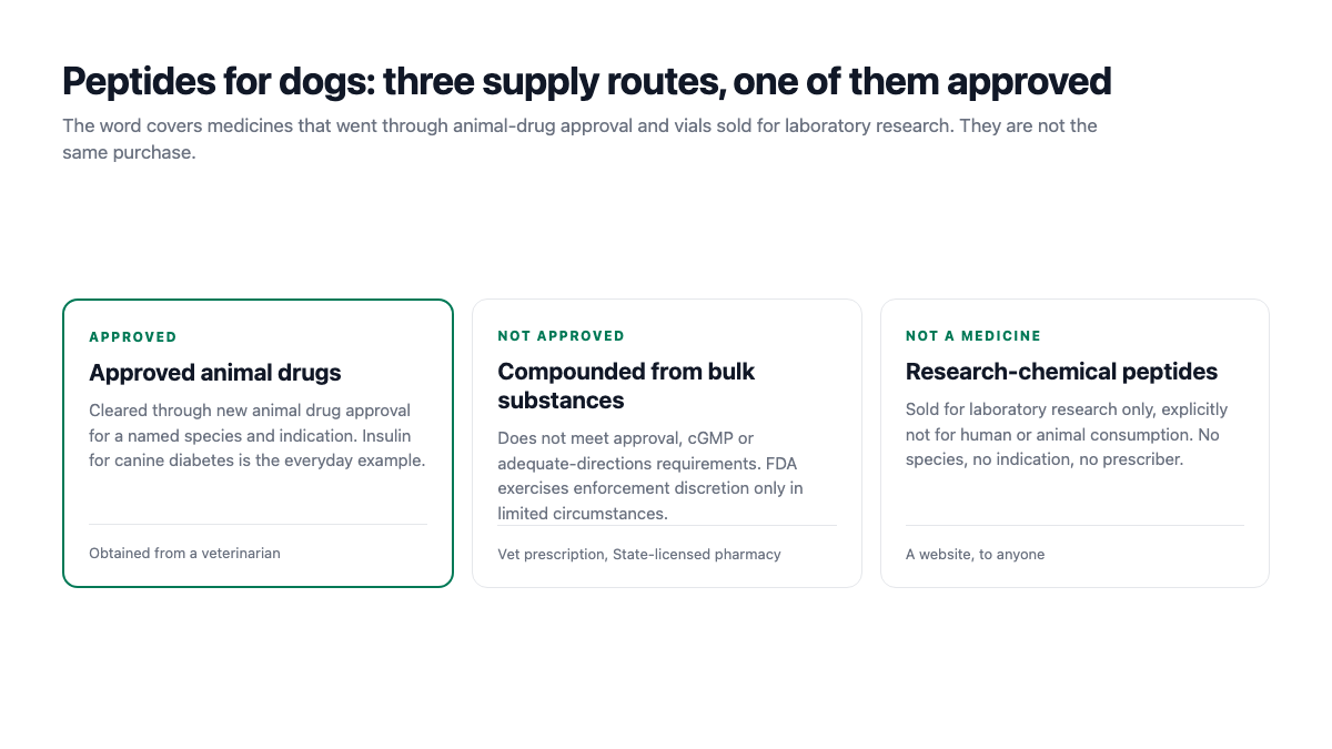 Peptides for dogs: the three supply routes compared, with only approved animal drugs cleared for use