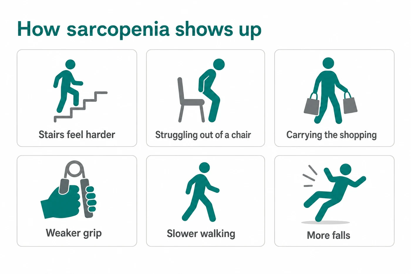 How sarcopenia presents day to day: stairs, rising from a chair, carrying, grip strength, walking speed and falls
