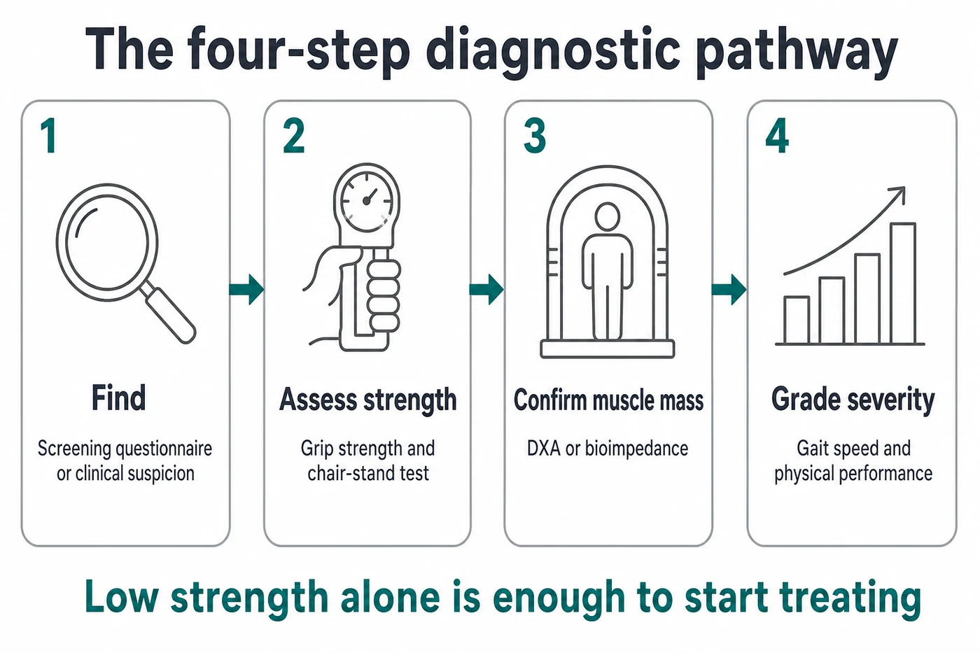 The sarcopenia diagnostic pathway: find, assess, confirm and grade severity