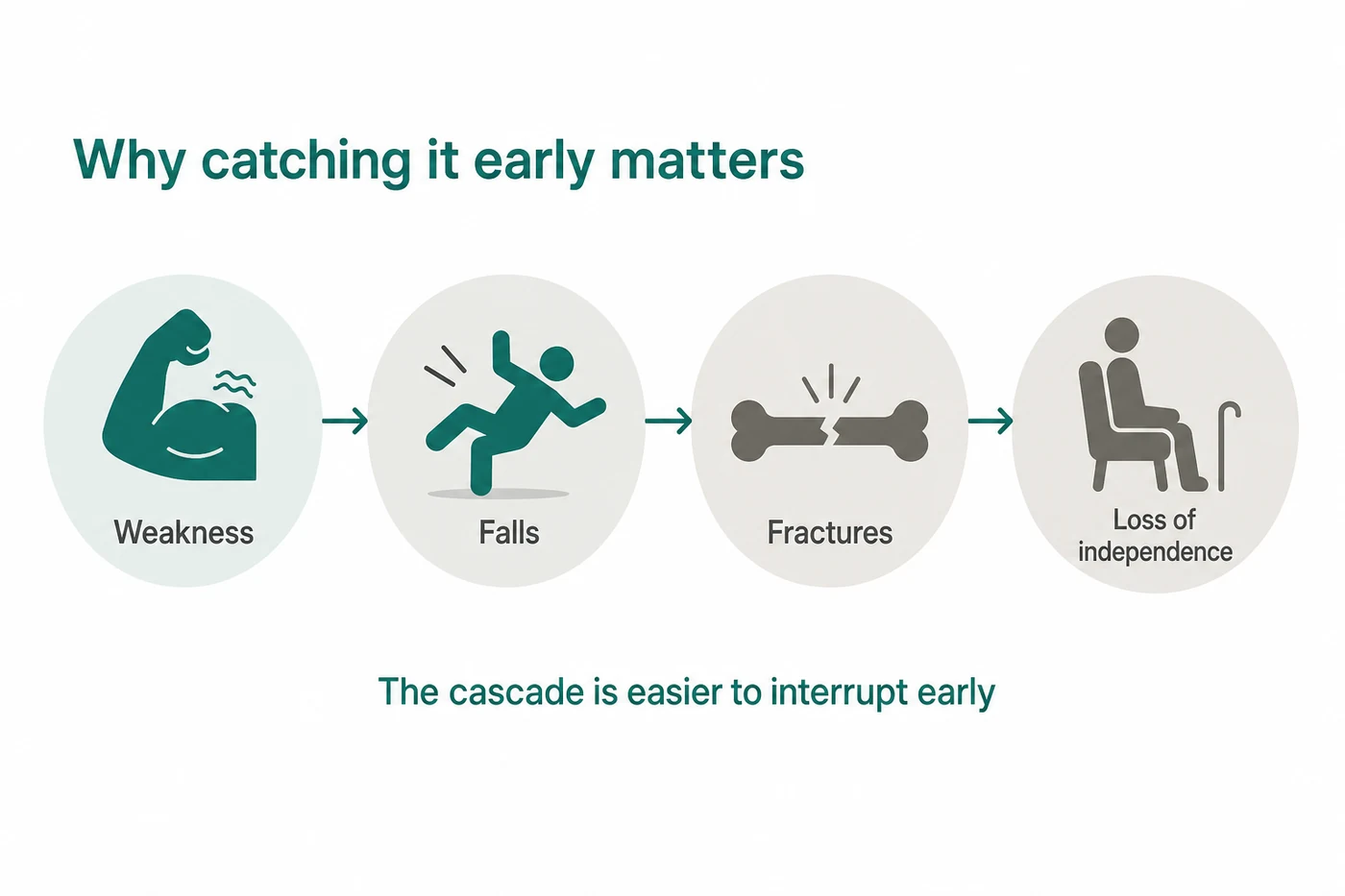 Why sarcopenia matters: the cascade from weakness to falls, fractures and loss of independence